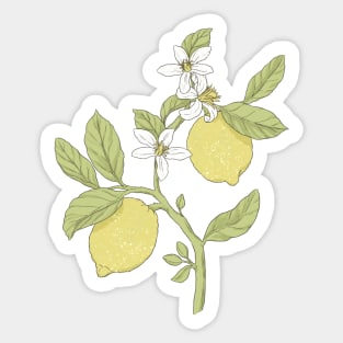 Lemons Sticker